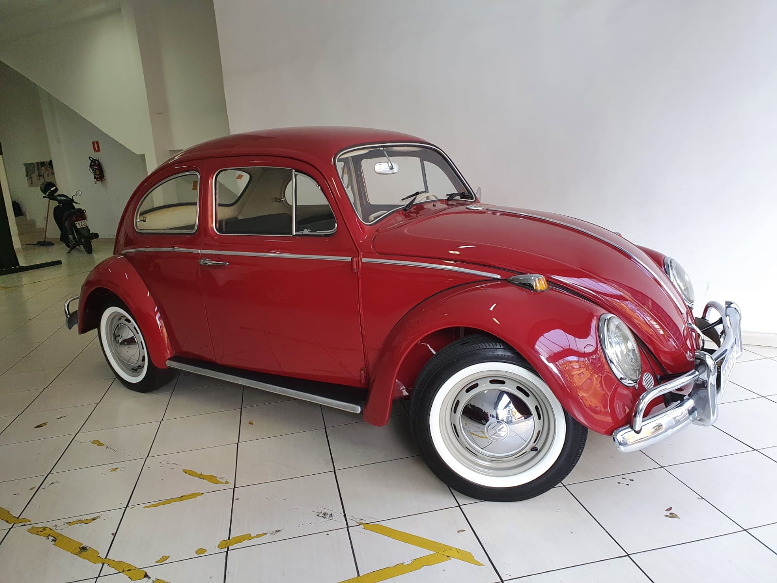 WhatsApp Image 2023-01-30 at 11.56.25.jpeg